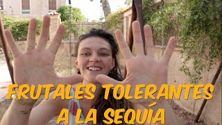 10 Frutales Tolerantes a la Sequía [upl. by Nawud]