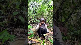 kegiatan di kebun minivlog adventure vlogadayinmylife [upl. by Moriyama493]