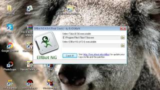 Como Instalar E CRackear O ElfBot 854 Sem Erro Acess Violation [upl. by Nho]