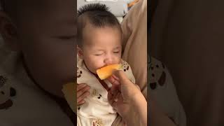 Baby try to wake up Papa for morning walk very cute 🥰🥰🥰 [upl. by Michelsen]