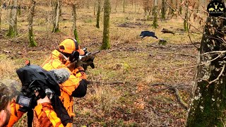 Battue au sanglier avec une BROWNING BAR4X [upl. by Ecenahs]