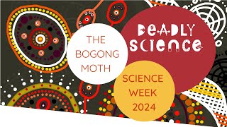 DeadlyScience Science Week 2024  The Bogong Moth with Joshua Waters [upl. by Nitsuj626]