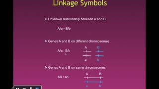 Ch 4 Eukaryotic Chromosome Mapping [upl. by Rainwater]