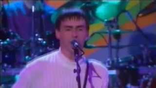 Paul Weller Live  Carnation HD [upl. by Anibla]