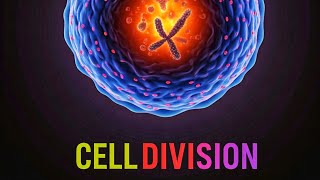 Let’s do MCQ  Cell Division ll Biology  Class 10  GyanBaksha [upl. by Wiley]