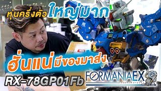 งามสุด BANDAI FORMANIA EX RX78GP01Fb GUNDAM GP01 Bust Figure [upl. by Edgardo]