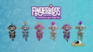 Jucarie interactiva Fingerlings de la Noriel [upl. by Esaertal]