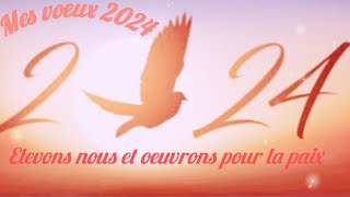 Mes meilleurs voeux pour 2024 [upl. by Brace692]