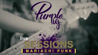 Purple Pig  Mariachi Punk Live Session [upl. by Nnoryt669]