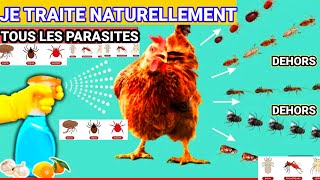 Jutilise ces produits pour éloigner tous les parasites poux acariens et les insectes [upl. by Marcy]