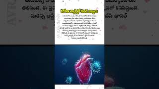 కరోనా వ్యాక్సిన్ తో గుండె జబ్బులు avrupdates [upl. by Barrus]