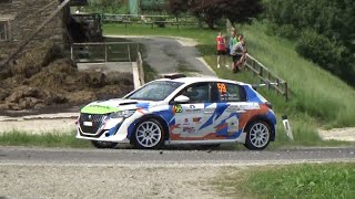 Rallye Weiz 2024 Thomas Regner Gottfried Witzmann [upl. by Ahsrav]