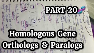 PART 20🧬 Homologous gene  Orthologs amp paralogs [upl. by Maltz91]