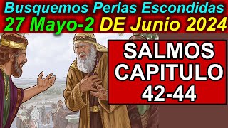 Busquemos PERLAS ESCONDIDAS de esta semana 27 Mayo 2 de Junio 2024 Comentarios [upl. by Leveridge]