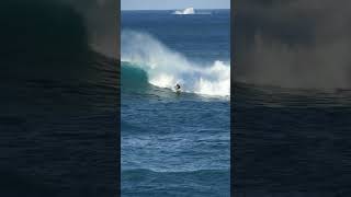 11YearOld Surfer Rides Waves With Whales [upl. by Dammahom]