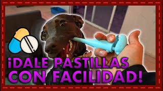 ¡Adiós a la Lucha Reseña del Mejor Dispensador de Pastillas para Mascotas [upl. by Earej269]