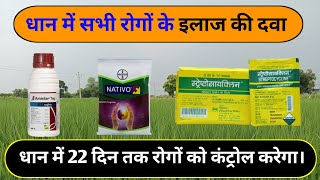 Bayer Nativo Fungicide  Syngenta Amistar Top Fungicide  Streptocycline Antibiotic  dhan ki kheti [upl. by Olav544]