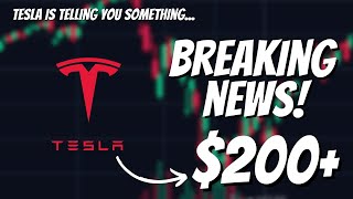 BREAKING It is the Beginning of the END for Tesla Stock [upl. by Fenton]