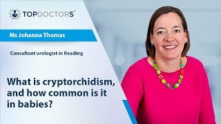 What is cryptorchidism and how common is it in babies  Online interview [upl. by Nan]