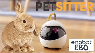 EBO BY ENABOT  PET SITTER SMART ROBOT  by Amazon  UNBOXING amp TEST [upl. by Merkley]