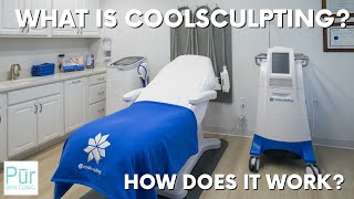 WHAT IS COOLSCULPTING AND HOW DOES IT WORK  Freeze Away Body Fat  PUR SKIN CLINIC [upl. by Hnacogn492]