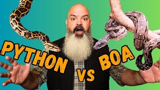 Python vs Boa What Should You Get [upl. by Necila]