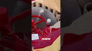 Firework fireworks christmas pyrotechnics funny 4thofjuly shorts trending viralvideo [upl. by Narmak]