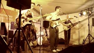 The Rockabilly Four play Ricky Nelson s Travelling Man [upl. by Izak]