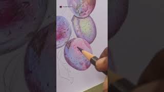 Drawing plum fruits with color pencils art drawing colorpencil fruitdrawing shorts plum [upl. by Htebiram592]