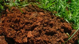 Laterite soil [upl. by Akeenat]