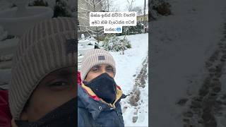 Romania Winter SeasonShortsRomania ChristmasWinterSinhl sinhalatravelvlog travel europeancity [upl. by Crispin]