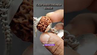 789 Mukhi Rudraksha Benefits  Powerful Rudraksha Combination [upl. by Quigley]