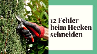 12 Fehler die Sie beim Hecke schneiden vermeiden sollten [upl. by Olyhs]