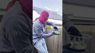 This Guy Used Gasoline to Remove Wasp Nest willkofficial [upl. by Alemat]