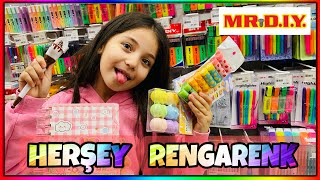 MR DIY HER ŞEY RENGARENK KIRTASİYE ALIŞVERİŞİ [upl. by Enneles]