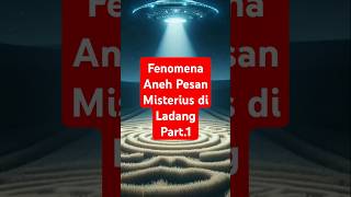 Fenomena Pesan Misterius di Tengah Ladang Crop Circles cropcircles alientechnology OBIT [upl. by Sydelle]