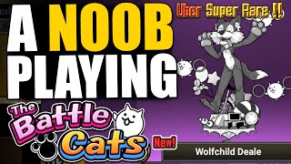 NOOB TO PRO 130  MY NEW UBER SUPER RARE  CRAZED LIZARD AND MONEKO STAGE  The Battle Cats [upl. by Nalla921]