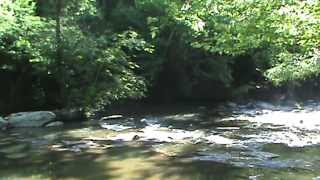 Fishing in the Broad River near Lake Lure N C [upl. by Ahsieken676]