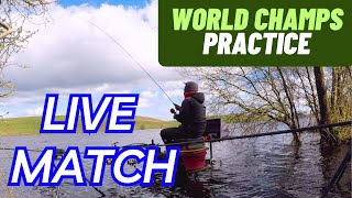 MATCH FISHING LIVE  FEEDER FISHING  WORLD CLUB CHAMPS PRACTICE FESTIVAL [upl. by Bedelia]