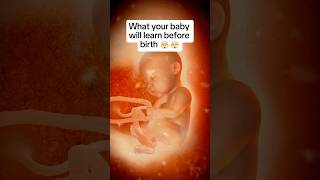 🤯🤯What Your Baby Already Knows By Birth [upl. by Ahsinotna]