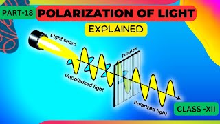 polarization of light class 12 in hindi  Wave Optics [upl. by Hajidak496]