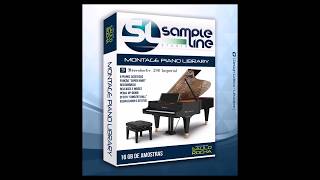 Yamaha Montage Piano Library Kontakt [upl. by Nawk944]