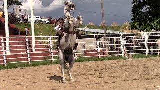 Exhibicion de Caballos Bailadores 23 Julio 2016 Jamiltepec [upl. by Merola]