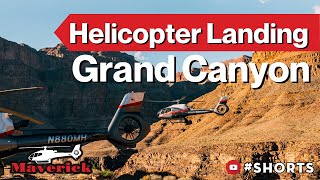 Grand Canyon Helicopter Tours  The 3 Top Rated Grand Canyon Tours [upl. by Assyle]