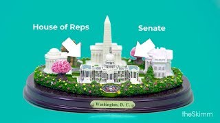 Congressional elections explained Whats at stake at midterms  theSkimm [upl. by Alaek]