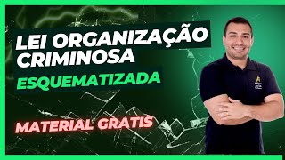 ORGANIZAÇÃO CRIMINOSA Lei 1285013  Pontos principais  Material  p02 [upl. by Guillermo]