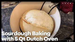 Sourdough Baking with 5 Qt Dutch Oven in the Breville Smart Oven Air Fryer Pro [upl. by Nesbitt416]