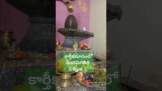 Day 5 Karthikamasam panchami tithi importance👆కార్తీకమాసం పంచమి తిథి👍 విశిష్టత తెలుసుకుందాం రండి🙏 [upl. by Niad]