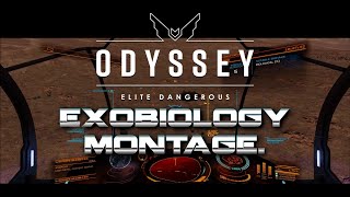 Elite Dangerous Odyssey  Exobiology Montage [upl. by Odnesor]