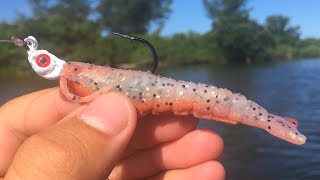 Kayak Fishing With Lures for Redfish and Snook [upl. by Suirtemid]